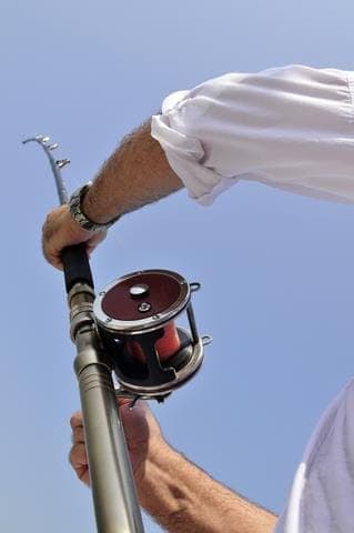 Fish inline image 1