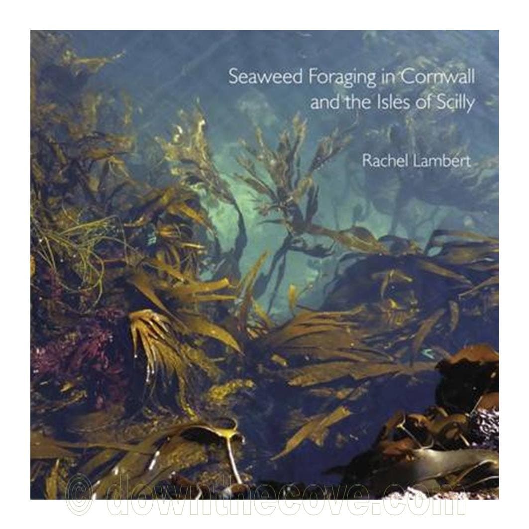 Seaweed Foraging in Cornwall & the Isles of Scilly image 1