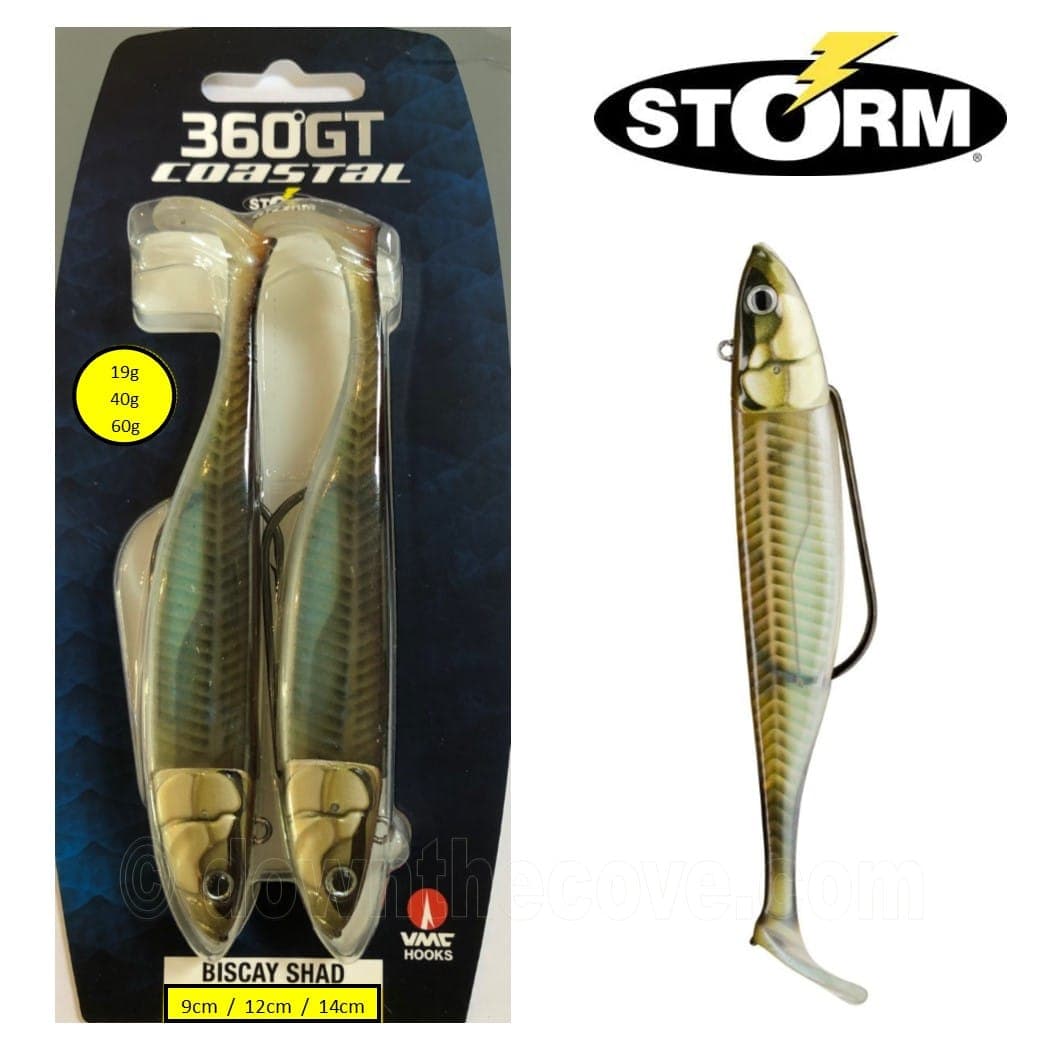 Storm 360GT Coastal Biscay Shad Sandeel - 2 Mounted Lures image 1