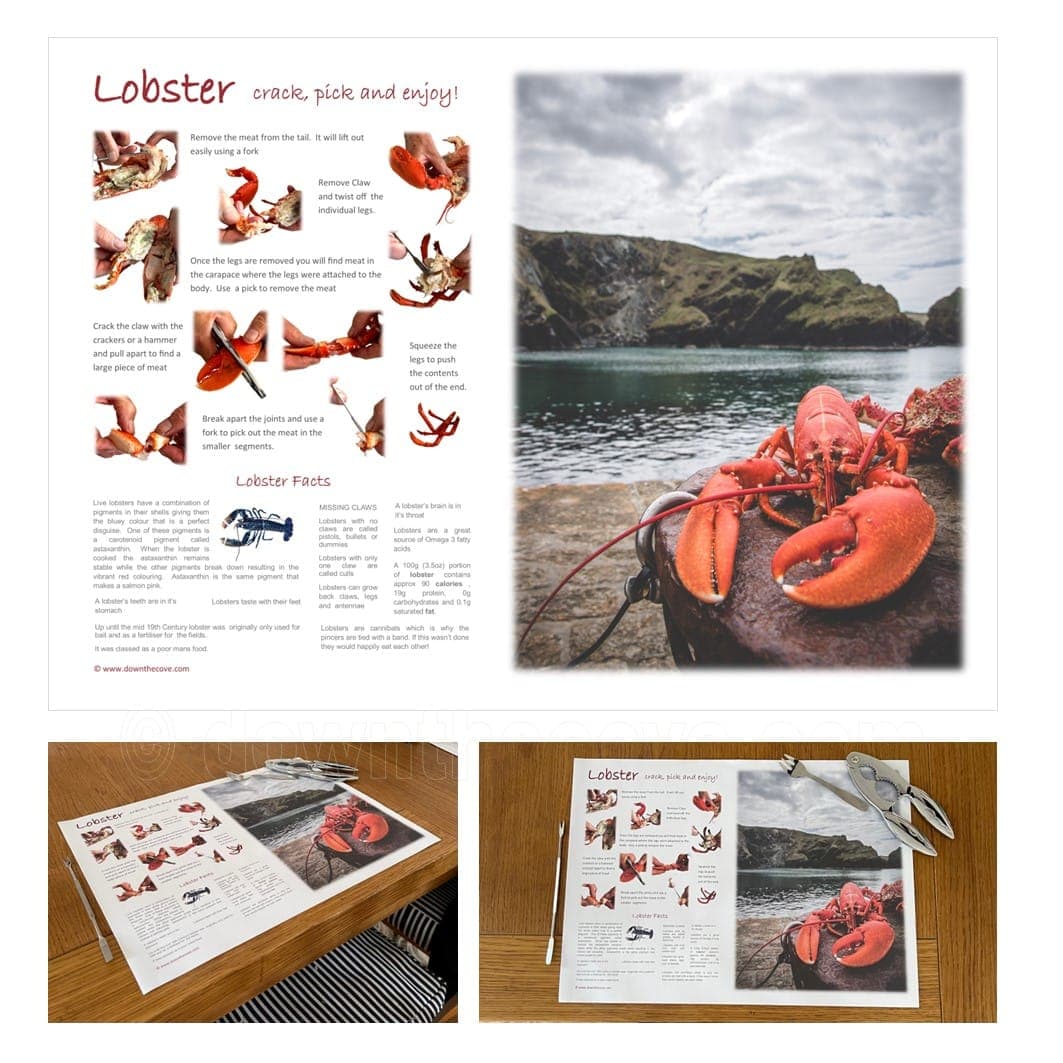 How to Eat a Lobster Placemats image 1