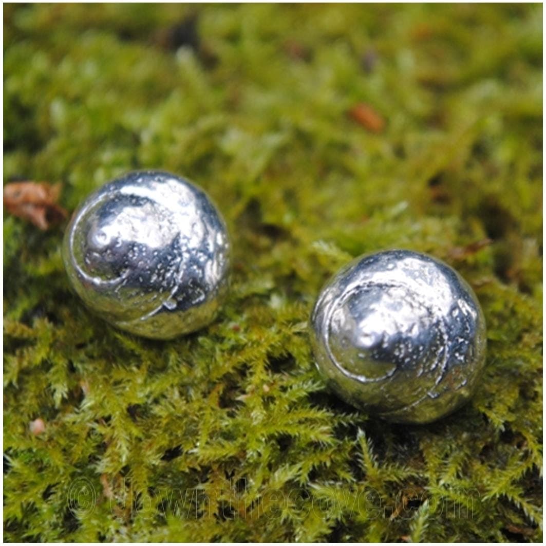 Cornish Periwinkle Shell Stud Earrings Pewter image 1