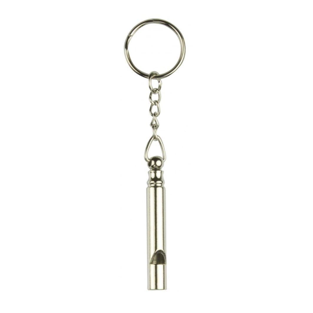 Chrome Safety Whistle Keyring image 1