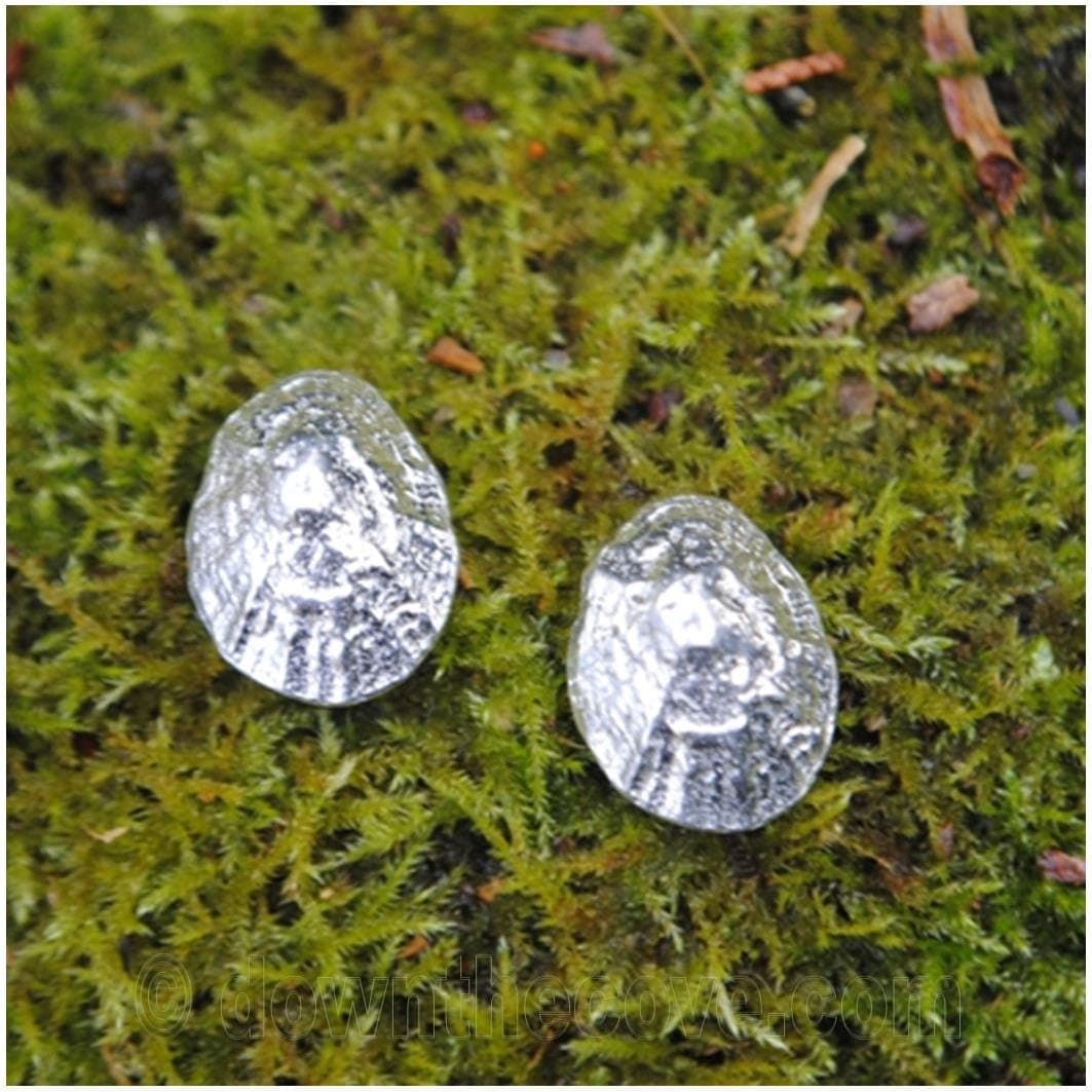 Cornish Limpet Shell Stud Earrings Pewter image 1
